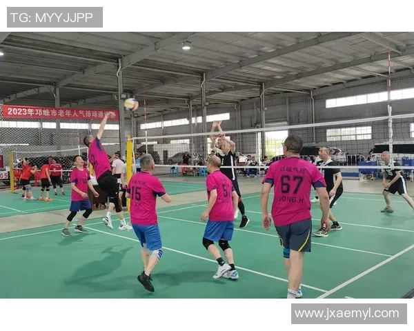 成都排球队荣登全国排球配合排行榜第三名展现强大实力与团队默契