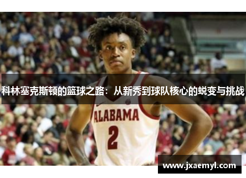 科林塞克斯顿的篮球之路：从新秀到球队核心的蜕变与挑战