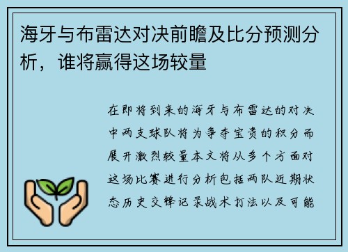 海牙与布雷达对决前瞻及比分预测分析，谁将赢得这场较量